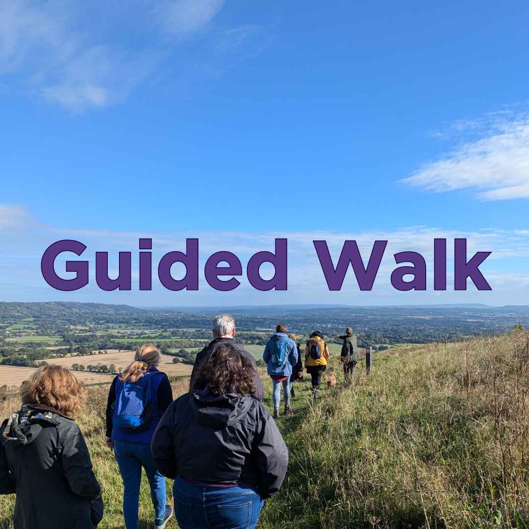 Guided Walk Guided Downland Walk - Hampshires Top Attractions